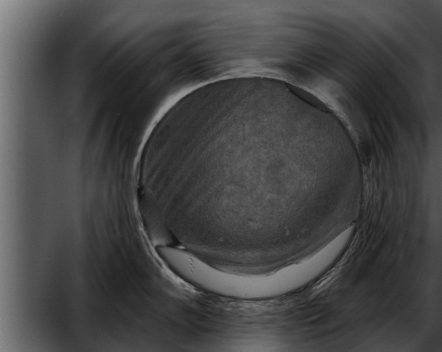 X0000052591102200507152338