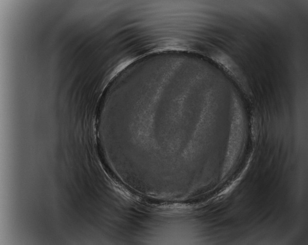X0000052591113200507152337