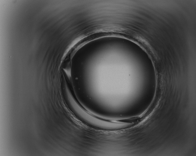 X0000052591114200507152337