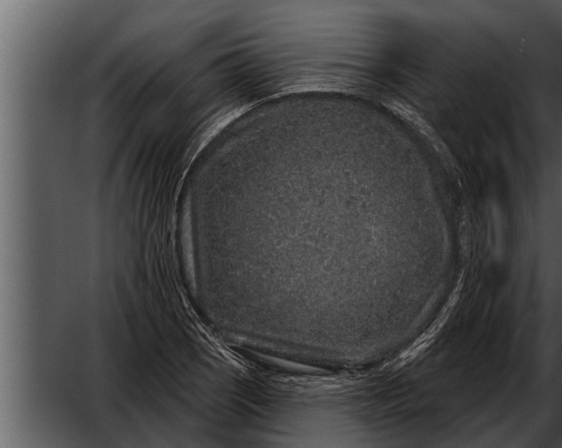 X0000052591121200507152337