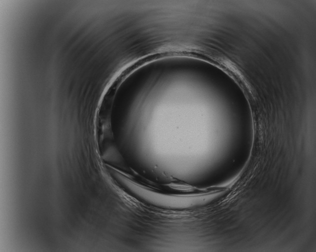 X0000052591124200507152337