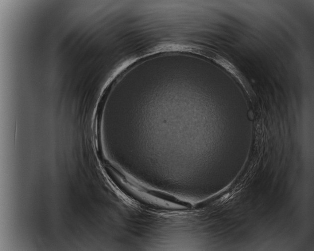 X0000052591127200507152338