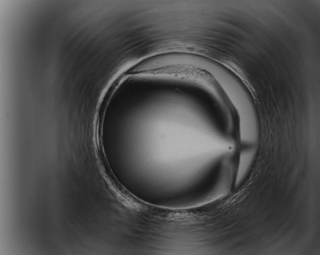 X0000052591128200507152338