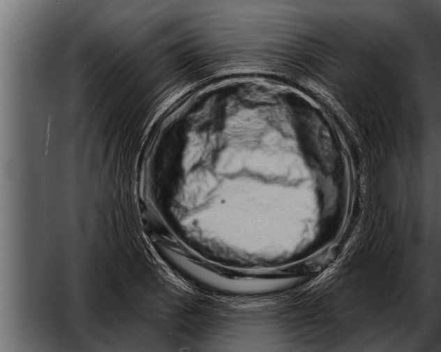 X0000052591129200507152338