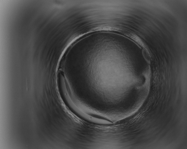 X0000052591132200507152338