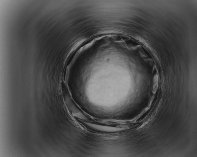 X0000052591137200507152338