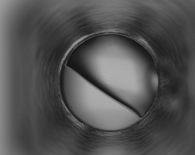 X0000052591140200507152338