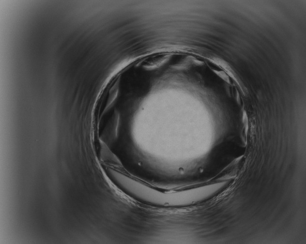 X0000052591143200507152338