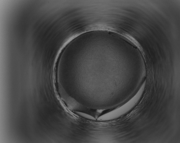 X0000052591144200507152338