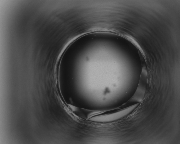 X0000052591148200507152338