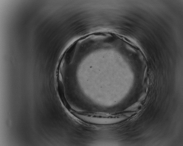 X0000052591151200507152338