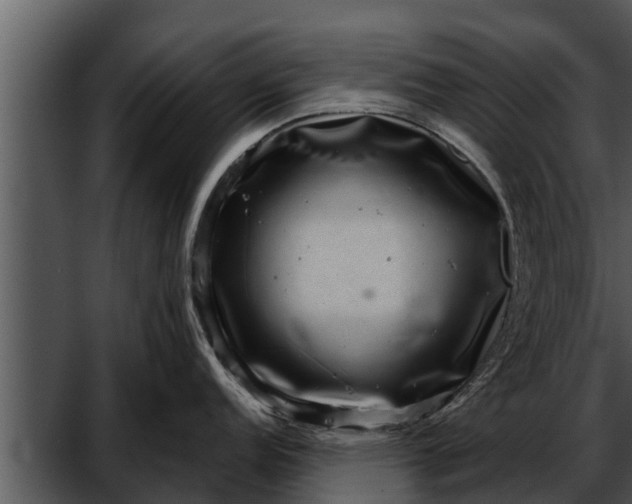 X0000052591152200507152338
