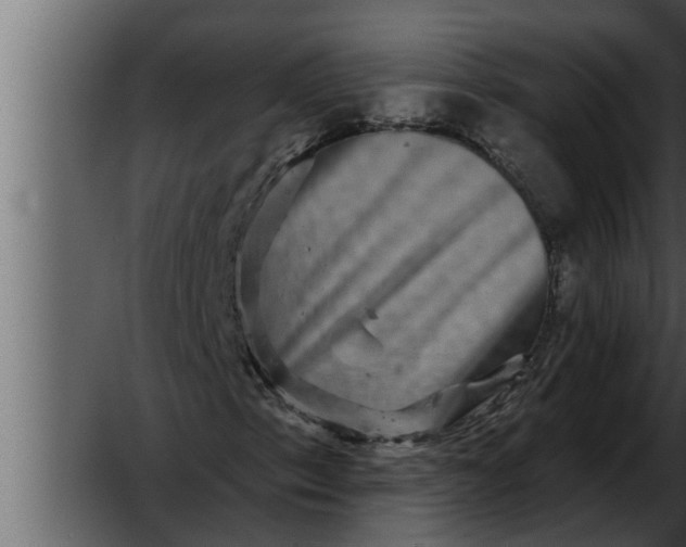 X0000052591153200507152337