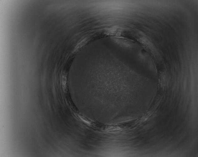 X0000052591154200507152337