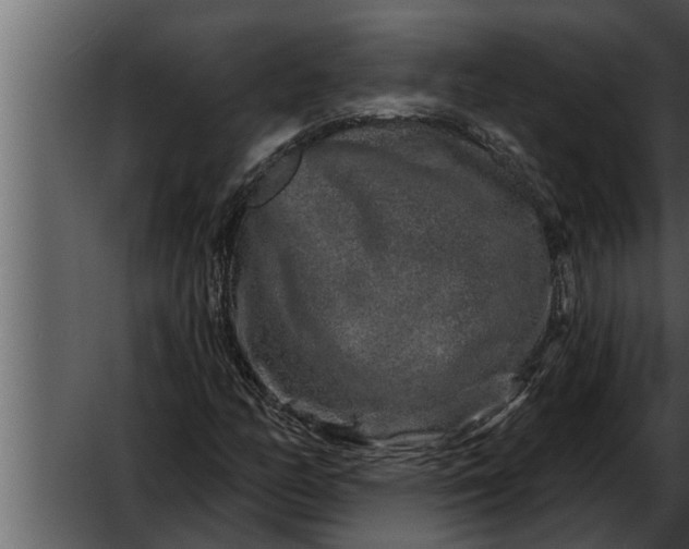 X0000052591158200507152337