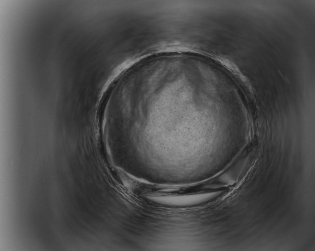 X0000052591167200507152337