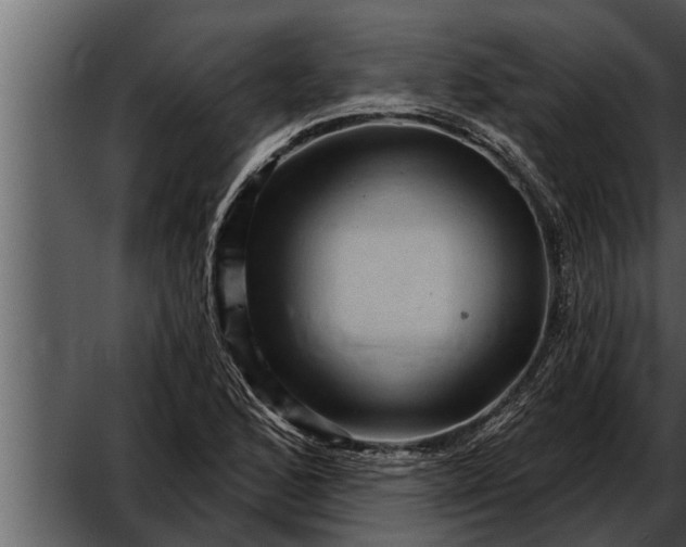 X0000052591168200507152337