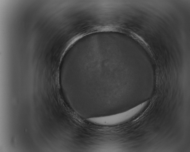 X0000052591174200507152337