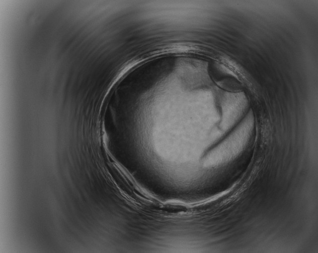 X0000052591178200507152337
