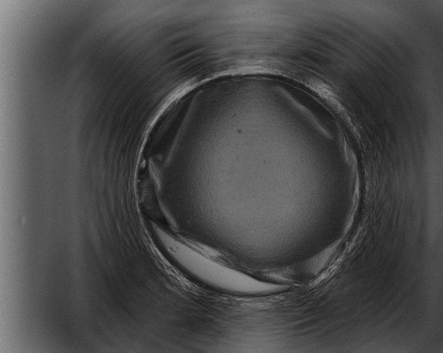 X0000052591181200507152337