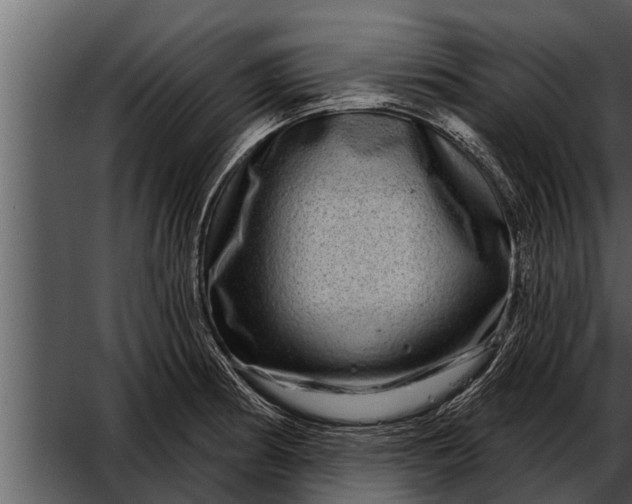 X0000052591186200507152337