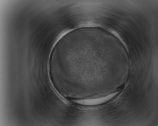 X0000052591187200507152337