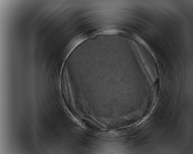 X0000052591194200507152336