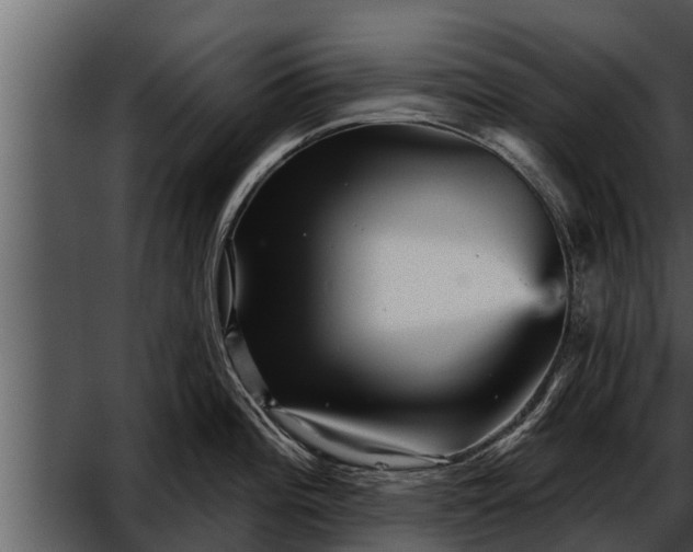 X0000052591196200507152336