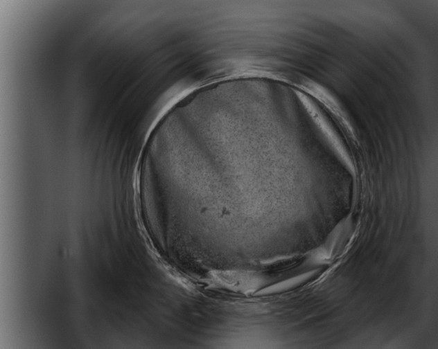 X0000052591198200507152336