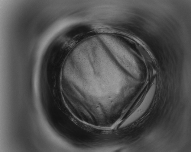 X0000052591199200507152336
