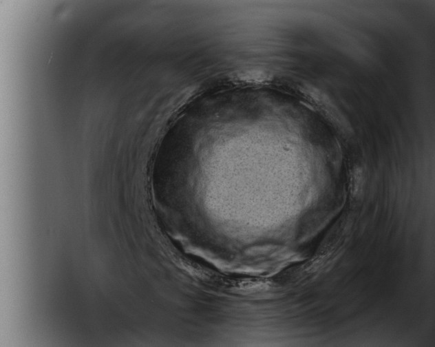 X0000052591201200507152336