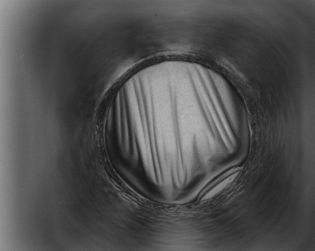 X0000052591208200507152336