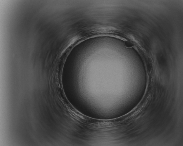 X0000052591211200507152336