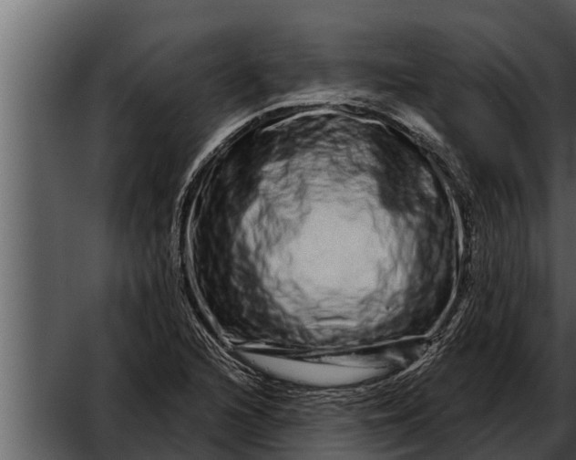 X0000052591216200507152336