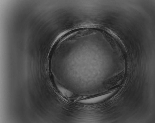 X0000052591222200507152336