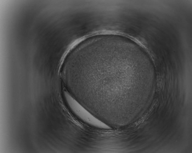 X0000052591223200507152336