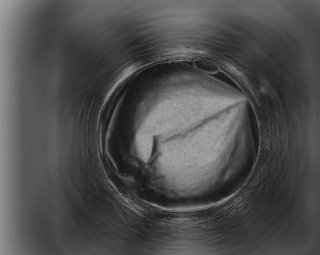 X0000052591227200507152336