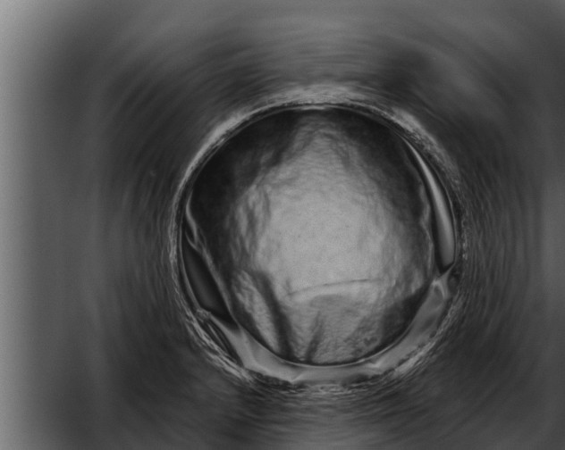 X0000052591232200507152336