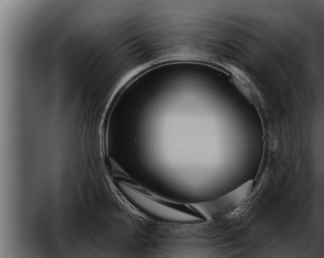 X0000052591238200507152336