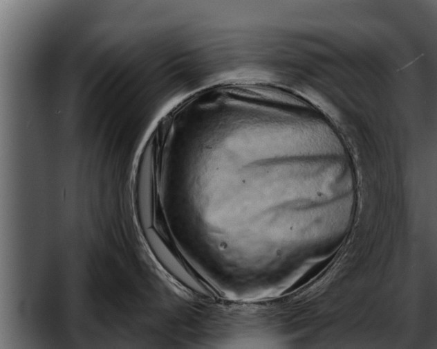 X0000052591248200507152336