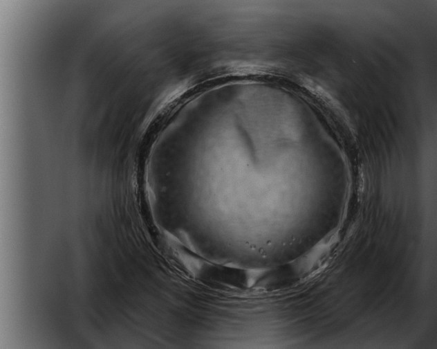 X0000052591261200507152335
