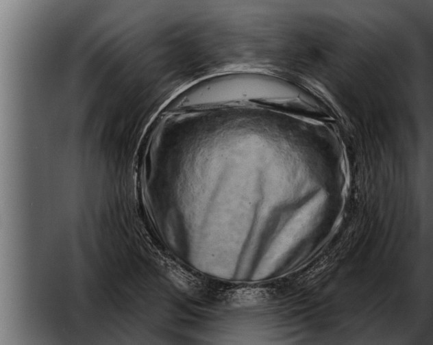 X0000052591268200507152335