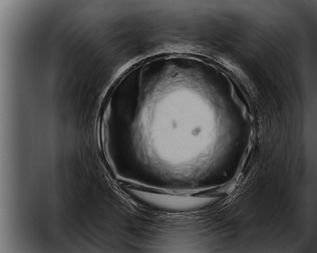 X0000052591272200507152335