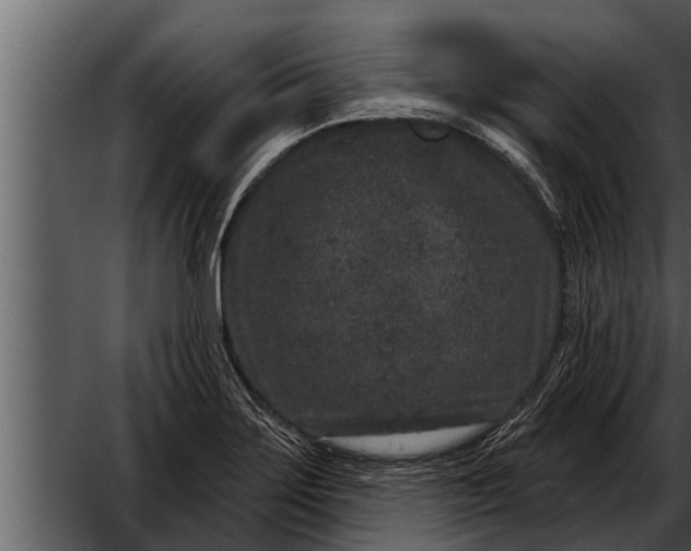 X0000052591275200507152335