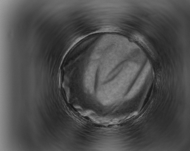 X0000052591276200507152335