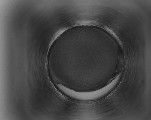 X0000052591277200507152335