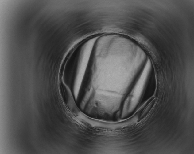 X0000052591280200507152335