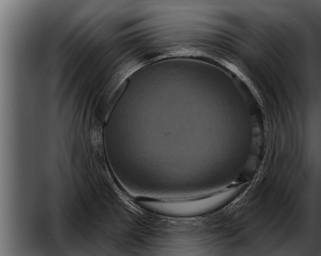 X0000052591281200507152335