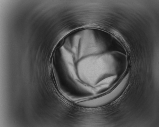X0000052591284200507152335