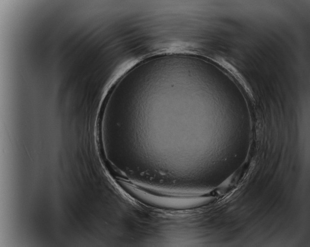 X0000052591285200507152335